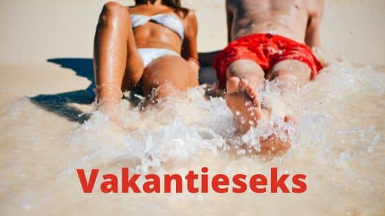 vakantieseks