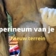 perineum massage man