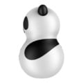 zijaanzicht Panda